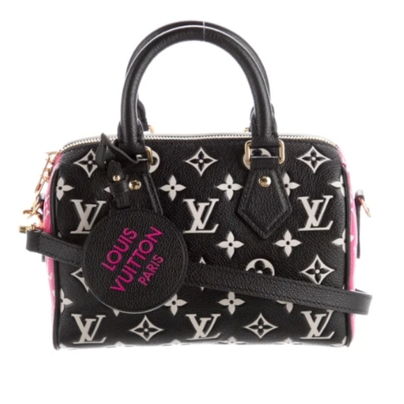 Louis Vuitton Handbags - Louis Vuitton